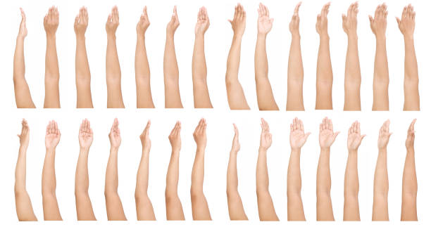istock GROUP of Female Asian hand gestures isolated over the white background. 1237451624