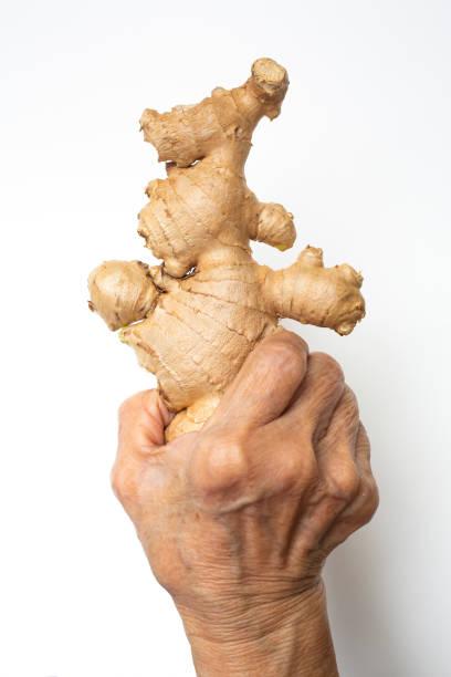 istock Senior woman's right hand holding Fresh ginger root or rhizome grows in white background, Close up shot, Herb and food concept 1237466873