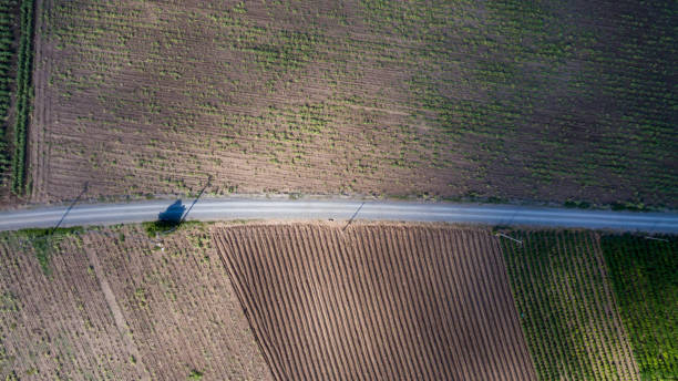 równoległe linie z lotu ptaka na grunty rolne i polną drogę. obraz drona żwirowej drogi, która dzieli dwa pola. rolnictwo i z góry z drogą w środku - 11723 zdjęcia i obrazy z banku zdjęć