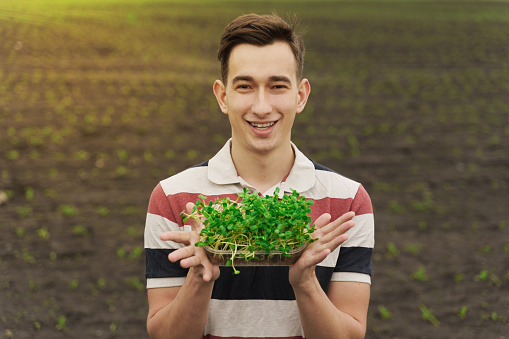 Vegeterian microgreen with soil in hands. Man holds green microgreen of sunflower seeds in hands and smiles. Healthy vegan food delivery. Advertise for healthy food restaurant.