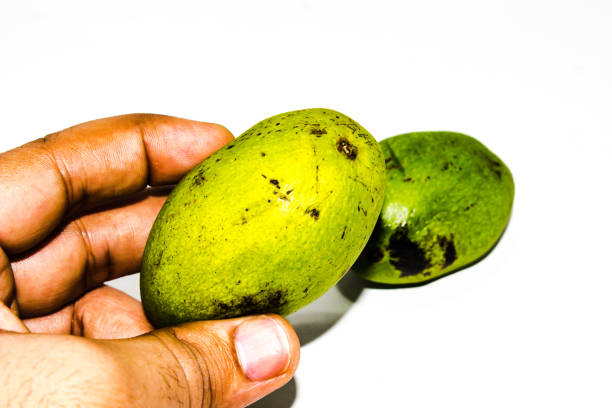 istock A picture of green mango 1237531220