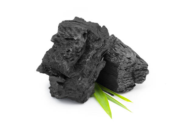istock Hardwood charcoal, Burned wood isolated on white background. 1237546557