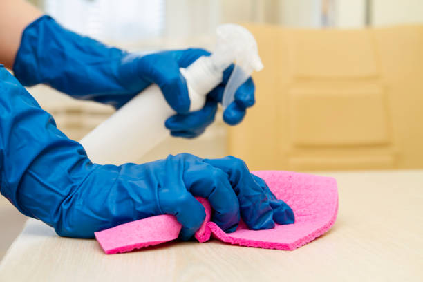 istock A human hands in a protective gloves disinfect the table using disinfectant and cleaning cloth for viruses prevention 1237574842