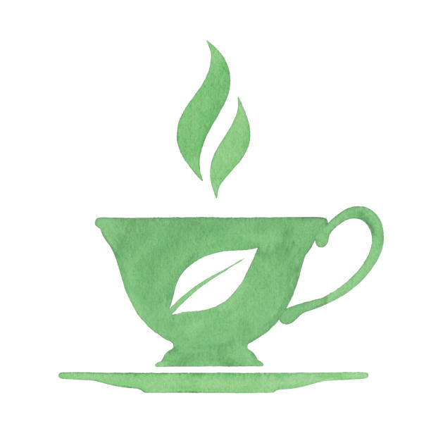 ilustrações, clipart, desenhos animados e ícones de xícara de chá verde aquarela - tea cup tea cup herbal medicine