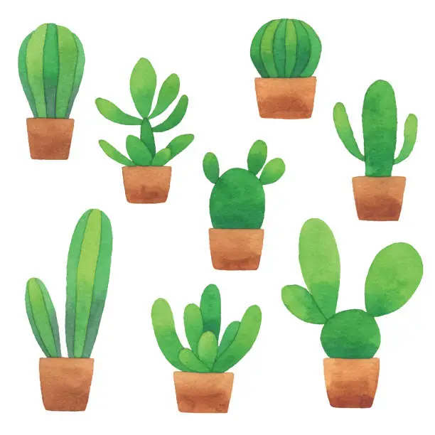 Vector illustration of Watercolor Cactus Pots