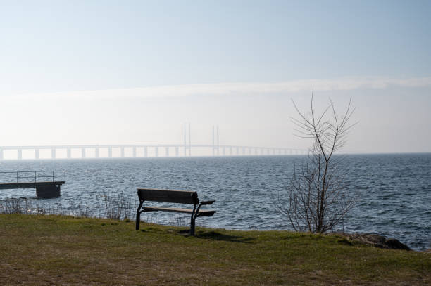 istock Empty bench by the coast of Sweden 1237593037