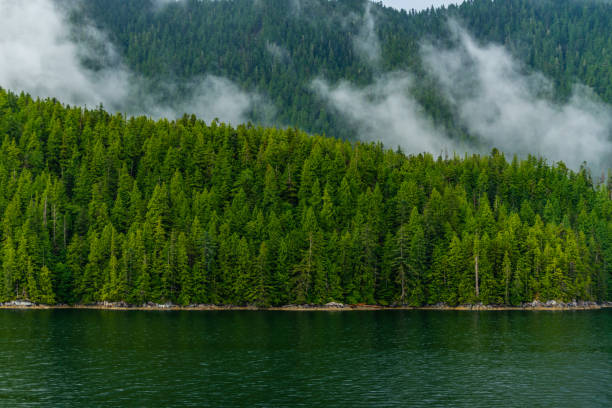 inside passage, vancouver island, BC, canada