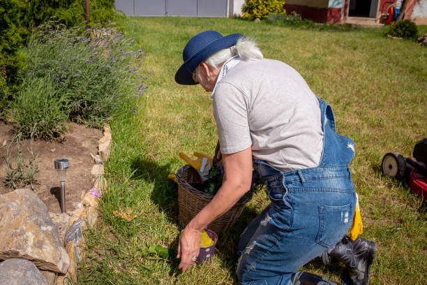 istock Active Senior Woman Gardening 1237598330