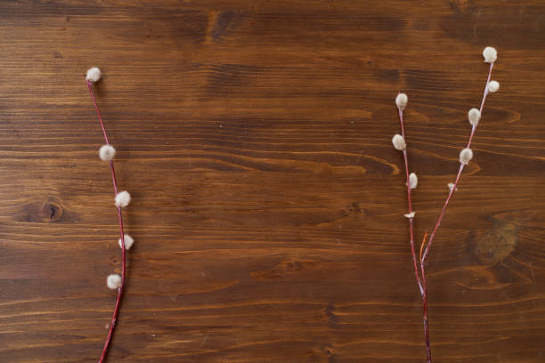 istock willow twigs on wooden background with place for text 1237610984