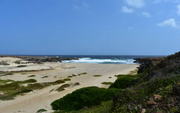 Beautiful Daimari Beach on scenic coastal Aruba.