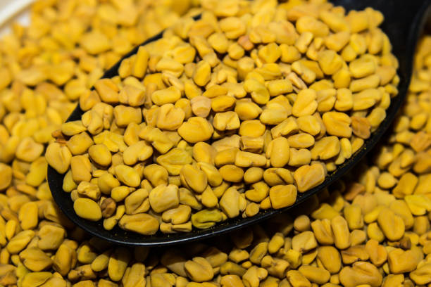 A picture of fenugreek A picture of fenugreek fenugreek stock pictures, royalty-free photos & images