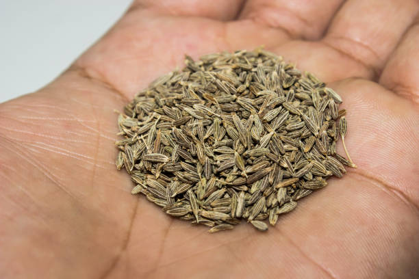 istock A picture of cumin seeds 1237646171