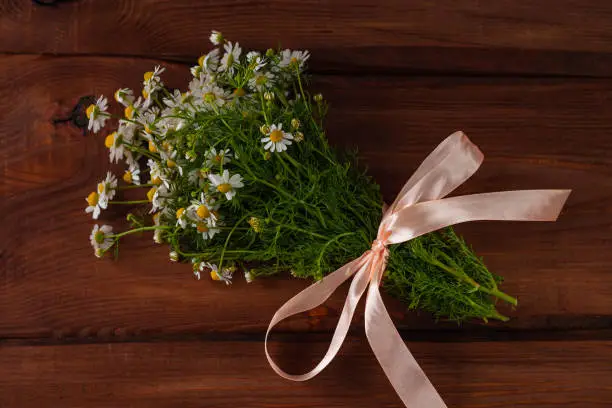 Blooming fresh camomiles bouquet with ribbon bow on wooden background. Beautiful chamomile flowers with green leaves. Natural Valentine's Mother's Women's day greeting card with copy space text sign.