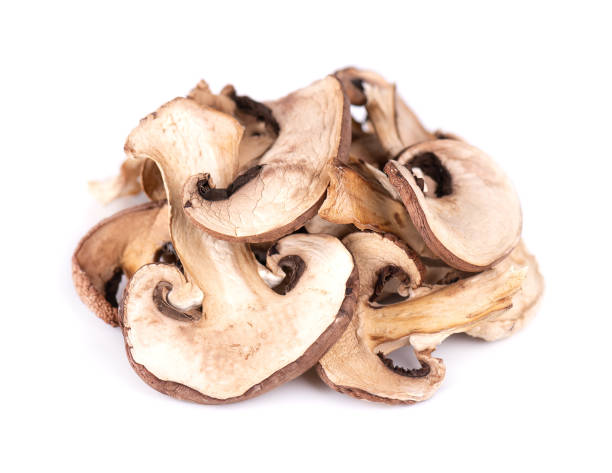 dried sliced mushrooms isolated on white background. dry champignons. - shiitake mushroom edible mushroom mushroom dry imagens e fotografias de stock