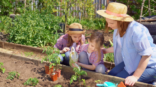 istock mother and cute daughters planting seedlings 1237706215