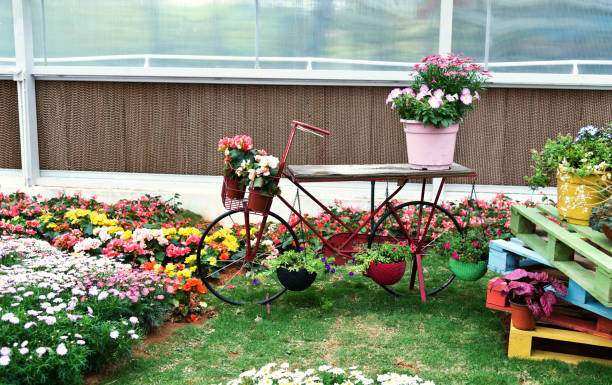 fahrrad mit blumen im garten - bicycle ornamental garden flower formal garden stock-fotos und bilder
