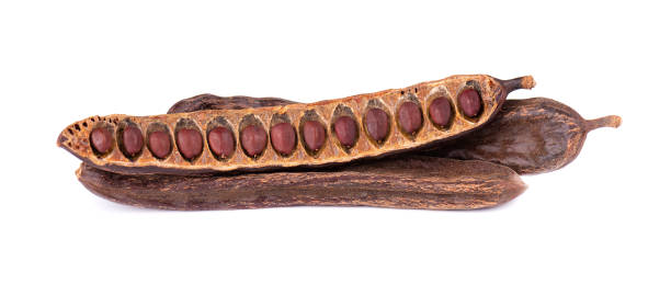 Ripe carob pods and bean isolated on white background