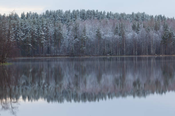 istock The shore of the forest lake. Spring landscape. 1237736593