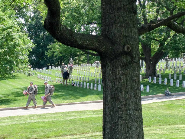 soldats de l’armée américaine plantant des drapeaux américains au cimetière d’arlington - cemetery crossing green grass photos et images de collection