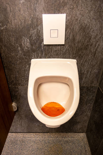 istock A urinal in a toilet 1237766299