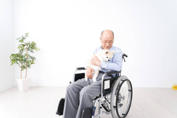 istock Senior man riding in a wheelchair keep a dog 1237801799