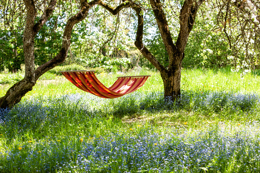 Beautiful landscape with red hammock in the spring garden with blooming apple trees, sunny day. Concept for relaxation, rural tourism. Selective focus
