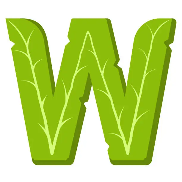 Vector illustration of Letter W, green leaves summer vector alphabet.