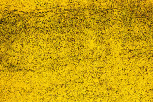 istock Yellow colored abstract wall background with textures of different shades of yellow 1237831172