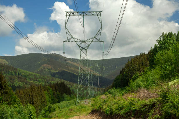 istock Power lines among lush greenery in a mountainous area 1237845913