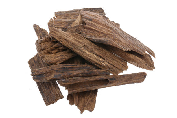 istock Selective Focus, Sticks Of Agar Wood Or Agarwood Background The Incense Chips Used By Burning for incense & perfumes of essential oil as Oud Or Bakhoor 1237854712