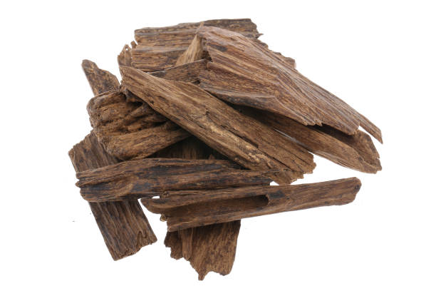 selective focus, sticks of agar wood or agarwood background the incense chips used by burning for incense & perfumes of essential oil as oud or bakhoor - tree resin imagens e fotografias de stock