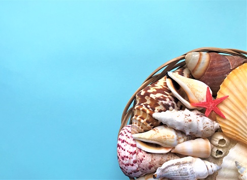 A large variety of sea shells of white, brown, gray, beige, yellow and pink colors and a small bright red starfish lie in a wicker basket on a turquoise background