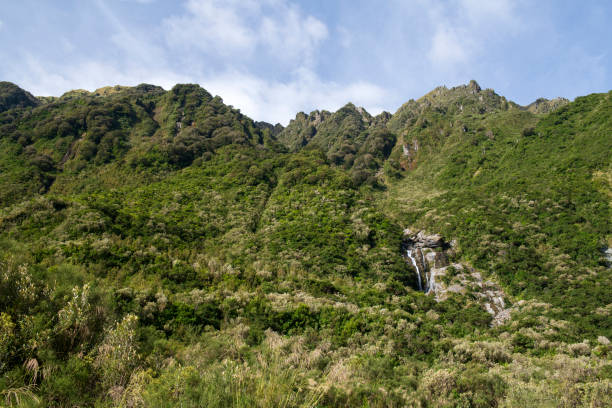 Photograph of Water Falls after very heavy rain and cold weather in Milford Sound in Fiordland National Park on the South Island of New Zealand