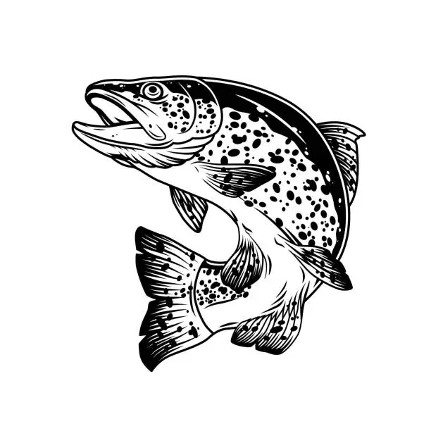 Vector illustration of Jumping trout fish vintage template