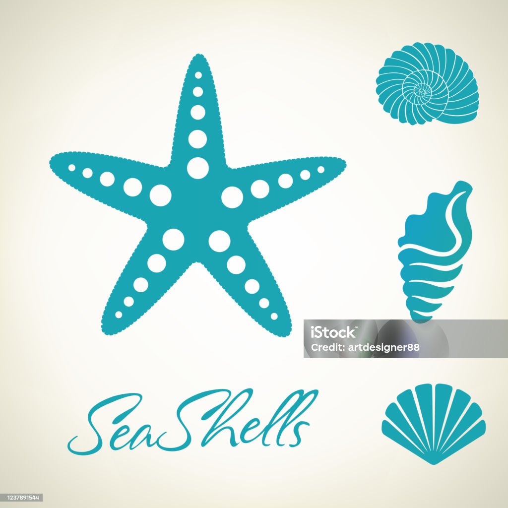Starfish Shell Vector Sea Shells And Starfish Vector Stock Illustration - Download Image Now ...