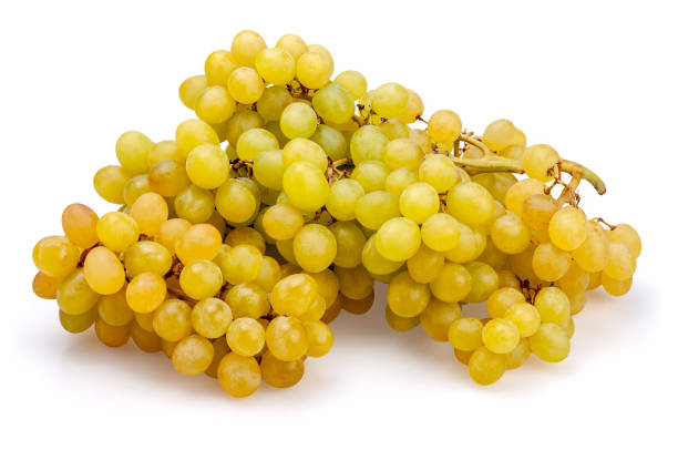 istock Ripe organic grapes on a white background. 1237899417