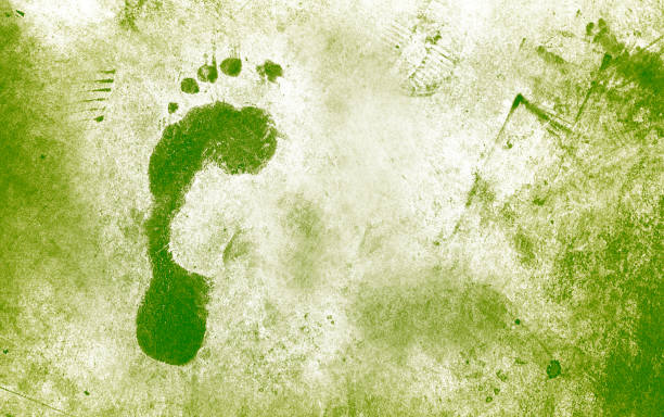 istock Green ecological footprint (and copy space) 1237910980
