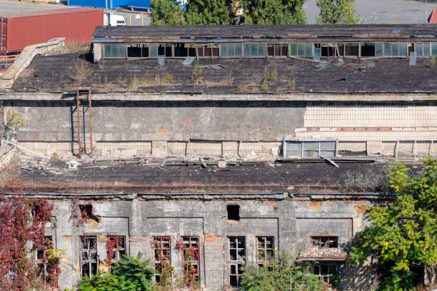 istock An old abandoned building among the plants. 1237911512
