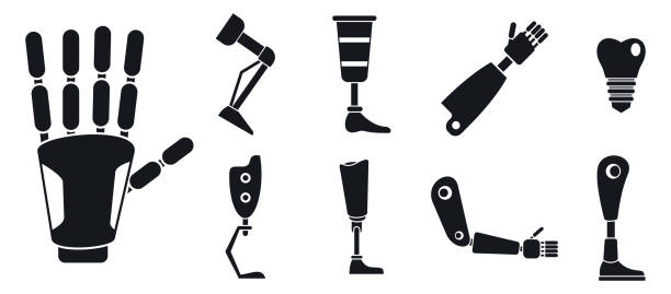 illustrations, cliparts, dessins animés et icônes de icônes artificielles de prothèse de membres ensemble, modèle simple - jambe