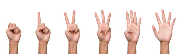 istock Hand isolated banner: Hand displays counting of numbers by using fingers which start from zero, one, two, three, four and five on white background and separated clipping path 1237942088