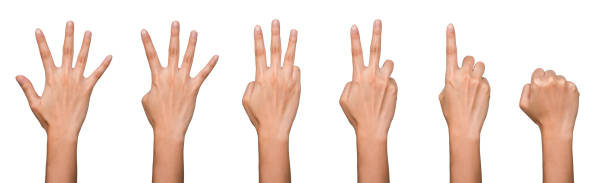 bannière isolée à la main : la main arrière affiche le comptage des nombres en utilisant des doigts qui commencent de cinq à zéro sur le fond blanc et le chemin de coupure séparé - second skin photos et images de collection