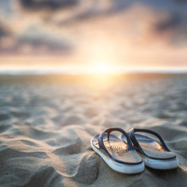 istock Flip flops on sandy beach in sunset time 1238006623
