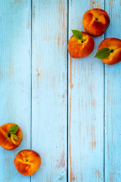 This is a photograph of Peaches on Retro Blue Picnic Bench
