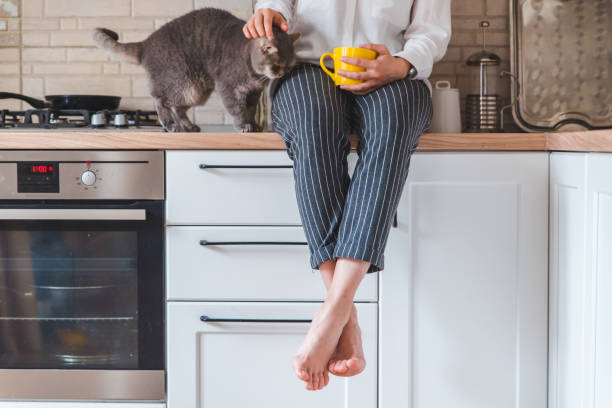 istock woman sitting on kitchen table with cat drinking tea from yellow mug 1238032523