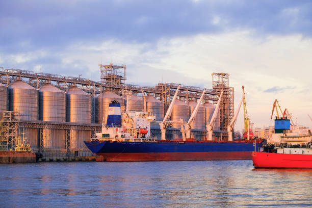 Bulk carrier ship in river port. Dry cargo grain elevator trade. Agrarian maritime facility. Cargo ship. Sunset view. factory on the water.