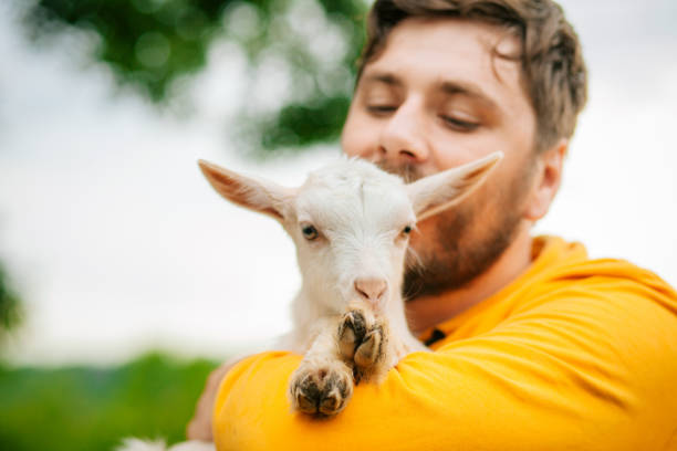 istock Young Man Holding Baby Goat 1238040307