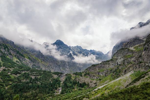 istock Mountain peaks. Tatra mountains and white clouds. National park, Poland 1238046046