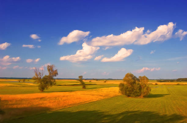 Fields in the fenlands of England with lone tree. Taken from causeway.