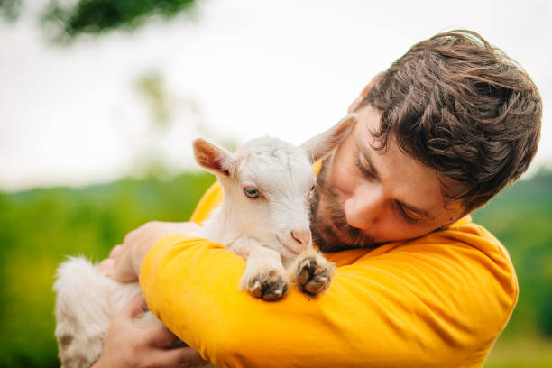 istock Young Man Holding Baby Goat 1238055038
