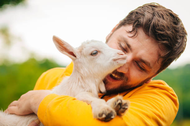 istock Young Man Holding Baby Goat 1238058186